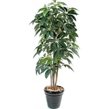 umělá květina SCHEFFLERA AMATA STROM, 210cm (Luxusní umělý strom)