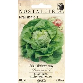 Pěstitelství Nohel Garden Salát hlávkový Král máje I. - NOSTALGIE