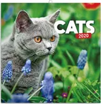 Presco Group poznámkový kalendář Kočky…