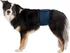 kalhotky pro psa Trixie Inkontinenční pás pro psa tmavě modrý