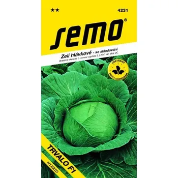 Semeno Semo Smržice Zelí hlávkové - Trvalo F1 40s