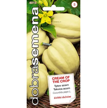 Semeno Tykev Acorn Cream of the Crop 10s - DOBRÁ SEMENA
