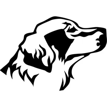 Samolepicí dekorace na vozidlo Samolepka hlava retrívra na auto a motorku, tuning nálepka (1929)