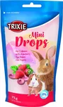 Trixie Mini jahodové dropsy pro králíky…