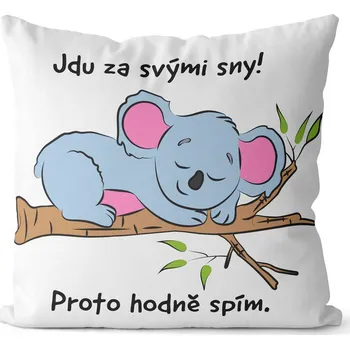 Dekorativní polštářek Polštář Jdu za sny (Velikost: 40 x 40 cm)