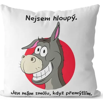 Dekorativní polštářek Polštář Nejsem hloupý (Velikost: 40 x 40 cm)