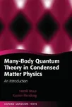 Many-Body Quantum Theory in Condensed…