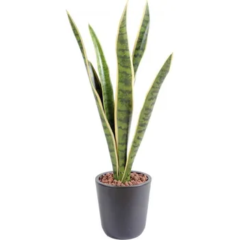 umělá květina Umělá květina Sansevieria deluxe v květináči, zeleno žlutá 60cm
