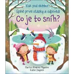 Co je to sníh? - Katie Daynes, Marta…