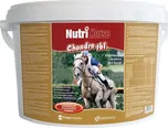 Nutri Horse Chondro tablety