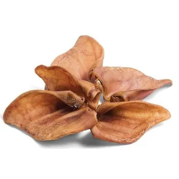 Pamlsek pro psa Dr. Jag Vepřové ucho sušené 1 ks