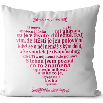 Dekorativní polštářek Polštář Milostný citát - pro ženy (Velikost: 40 x 40 cm)
