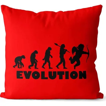 Dekorativní polštářek Polštářek Evolution láska (Velikost: 40 x 40 cm)
