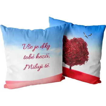 Dekorativní polštářek Polštář Hezčí svět (Velikost: 40 x 40 cm)