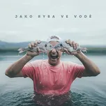 Jako ryba ve vodě - Dj Wich [CD]