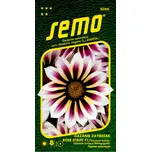 SEMO Daybreak Rose Stripe F1 gazánie…