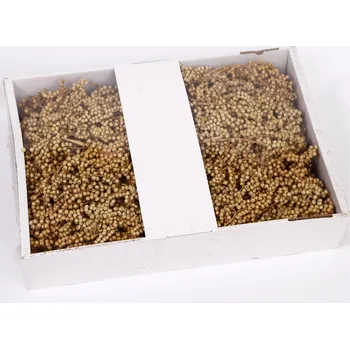 Zahradní dekorace Su Canella Extra Přírodní 100ks (1186020000)