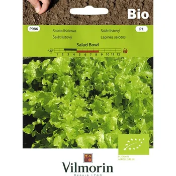 Semeno Salát listový Salad Bowl BIO