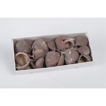 Zahradní dekorace SU Buddha Nuts Frosted Starorůžový 14ks (1125033910)