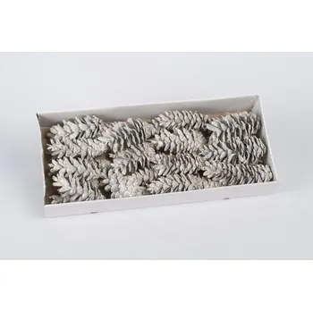 Zahradní dekorace Su Šišky Peuce Whitewashed 0,7kg (32030010)