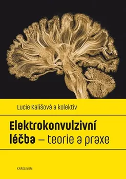 Elektrokonvulzivní léčba: Teorie a praxe - Lucie Kališová a kol. (2019, brožovaná)