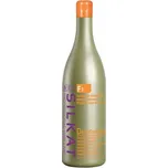 BES Silkat F1 Shampoo Deforforante - šampon na vlasy proti lupům 1000ml