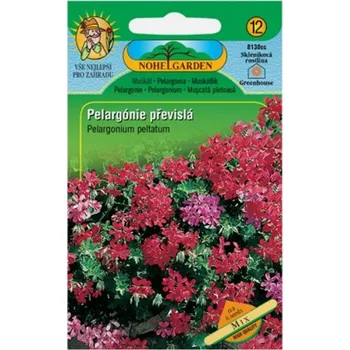 Semeno Nohel Garden Pelargonie břečťanolistá převislá