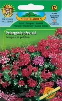 Semeno Nohel Garden Pelargonie břečťanolistá převislá