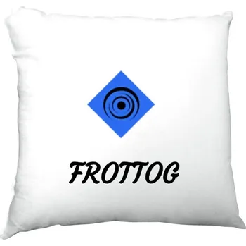 Polštář Polštář saténový s potiskem Polštář FROTTOG 2018