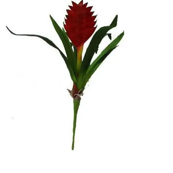 Dekorace do terária Lucky Reptile Jungle Plants Tillandsia cyanea červená 20 cm