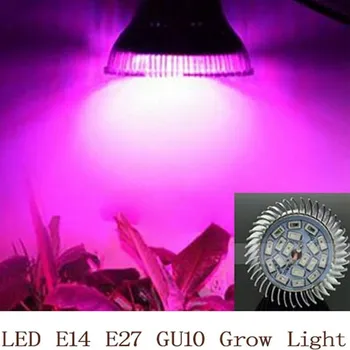 Žárovka LED ŽÁROVKA NA RŮST KVĚTIN 18W E14 / E27 / (FULL SPECTRUM. Tato stimulující žárovka vyzařující barevné světlo (kombinací červených a modrých světýlek) vytváří vhodné světelné podmínky pro rostliny a stimuluje jejich růst. Je energeticky úsporná. Vhodná pr