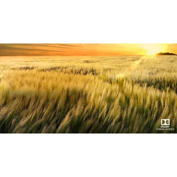 LG OLED55C9 Dolby Atmos