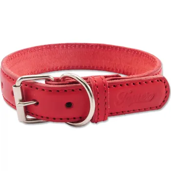 Tamer obojek červený, 55 cm/4 cm