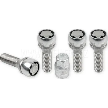 Disk Pojistné bezpečnostní šrouby M14x1,5x40 kužel, klíč 17, SICUBLOC AN440