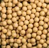 Boilies LK Baits Boilie Jeseter Special Boilies 18 mm/1 kg Cheese