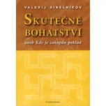 Skutečné bohatství aneb Kde je zakopán poklad - Valerij Sinelnikov (2006, brožovaná)