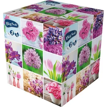 Papírový kapesník Kapesníky 75ks Big soft Jaro