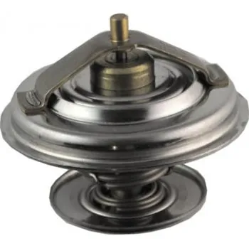 termostat IVECO ECARGO 75