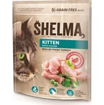 Shelma Instinctively Perfect Kitten…