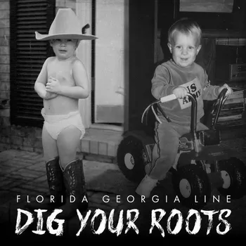 Zahraniční hudba Dig Your Roots - Florida Georgia Line [CD]