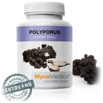 Přírodní produkt MycoMedica Polyporus (choroš oříš) v optimální koncentraci 90 kapslí