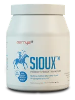 Fitness Barny's Sioux MSM 600 g