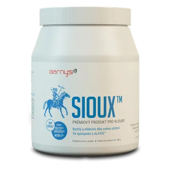 Barny's Sioux MSM 600 g