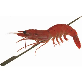 Jednorázové nádobí Špízová jehla bambusová 25cm/ 100ks