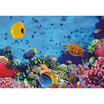 Fototapeta Vliesová fototapeta Báječný mořský svět FTNXXL-0375 / fototapety na zeď Beautiful World (360 X 270 cm) AG Design