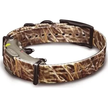 tréninková pomůcka pro psa Obojek a přijímač Dogtra ARC 800 Camo