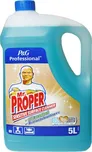 Procter & Gamble Mr. Proper…