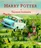 kniha Harry Potter a Tajemná komnata (2016, vázaná, ilustrované vydání) - J. K. Rowlingová
