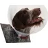 Ochranný límec pro zvířata Kruuse Buster Classic Collar transparentní