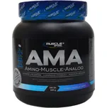Musclesport AMA 540 žvýkacích tablet